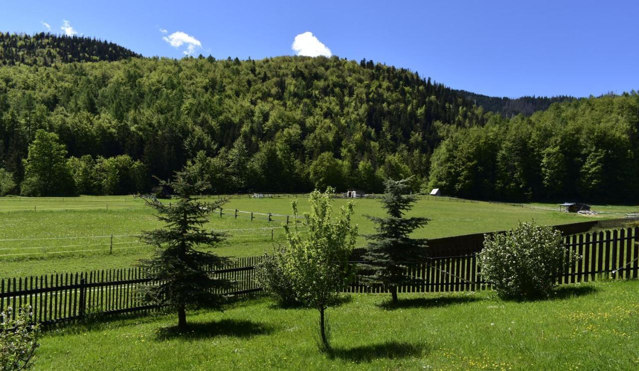 Apartament Rojka Zakopane Exteriér fotografie
