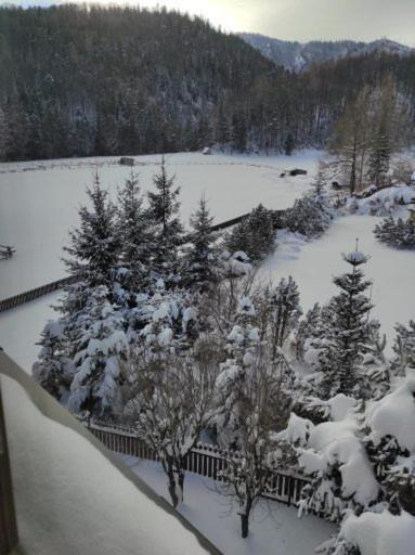 Apartament Rojka Zakopane Exteriér fotografie